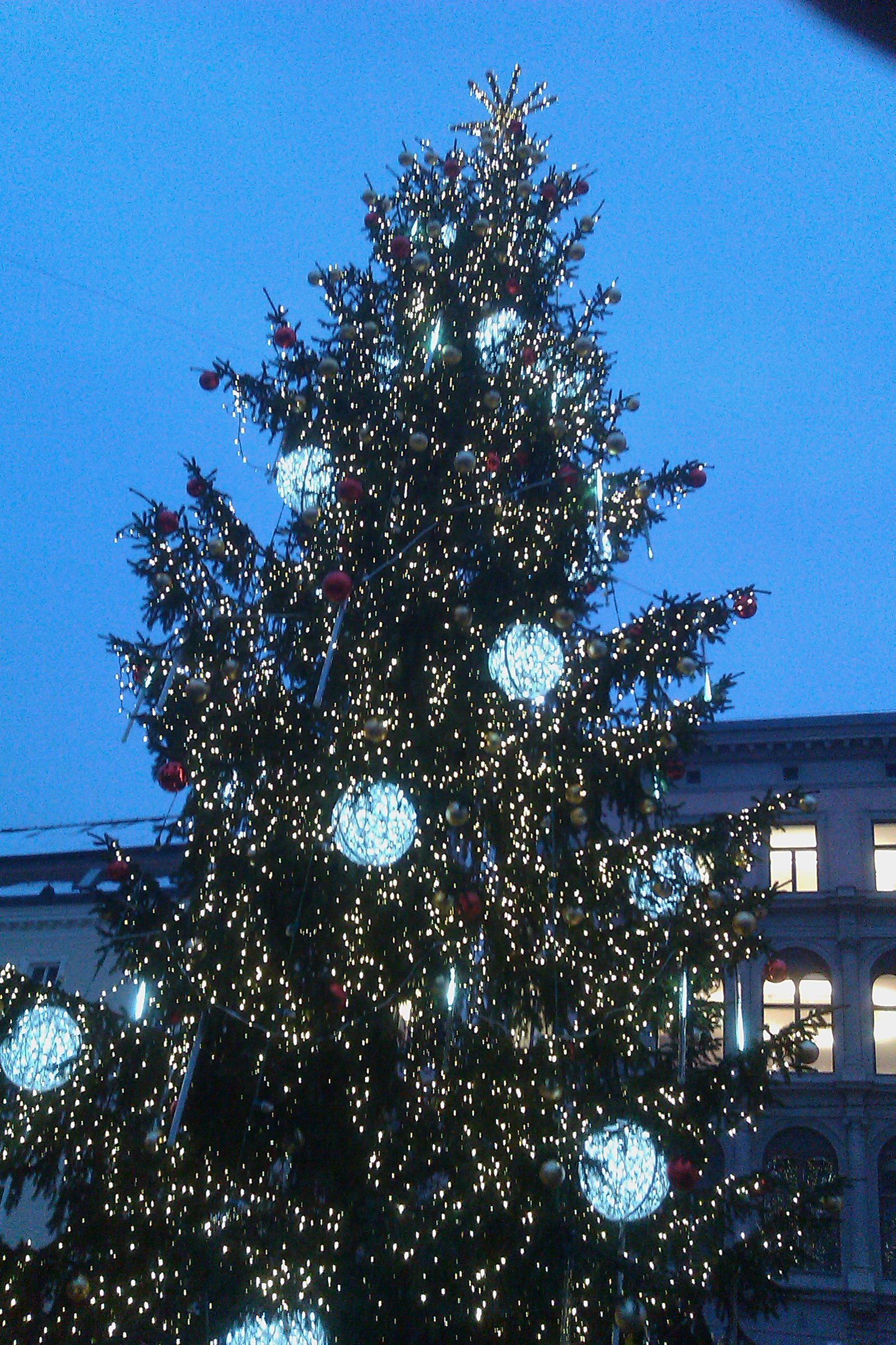 IMAG0301